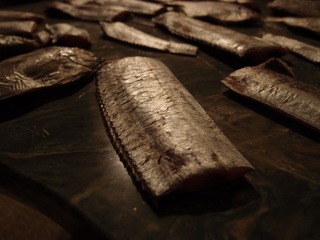 PB090014.JPG