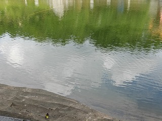 1000005718