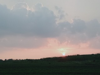 20023
