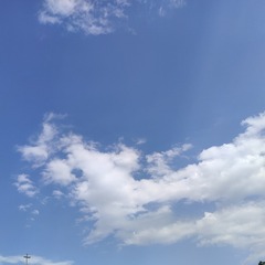 1000032166