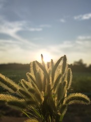 1000016382