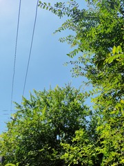 1000017149