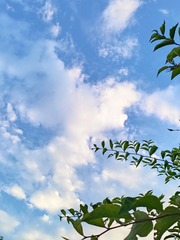 1000025521