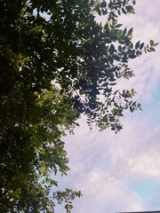1000016941