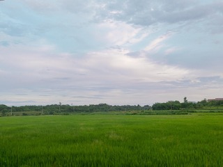 1000016911