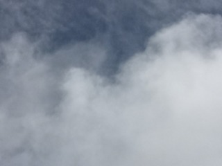 503