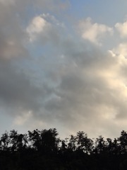 1000003386