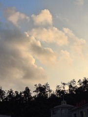1000003385