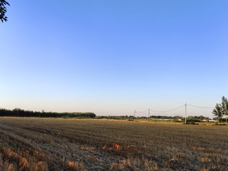 1000000351