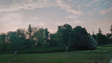 1000113266