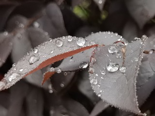 100346