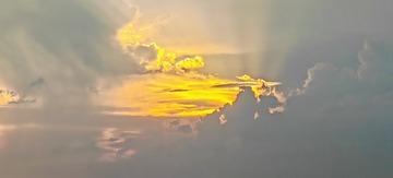 1000064523