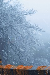 1000145101