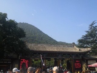 144603