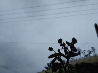 1000001129