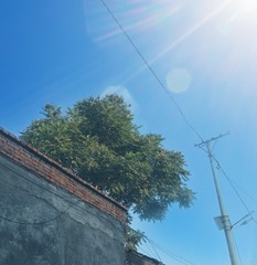 4665052