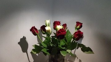 1000035167