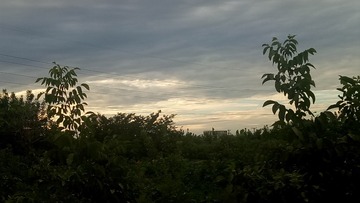 1000017576