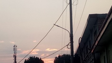 1000017606