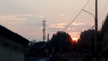 1000017611
