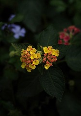 IMGP8148.jpg