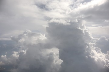 3031