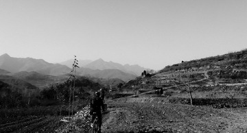 竹峪-6205.jpg