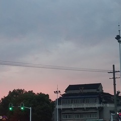 4422772