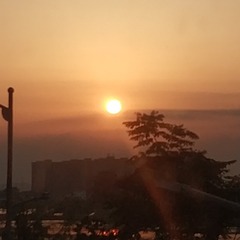 4091298
