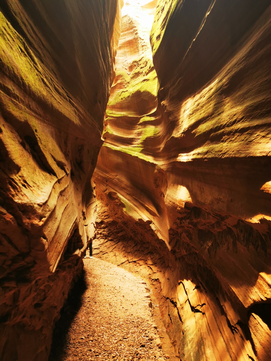 中国羚羊谷延安雨岔大峡谷
