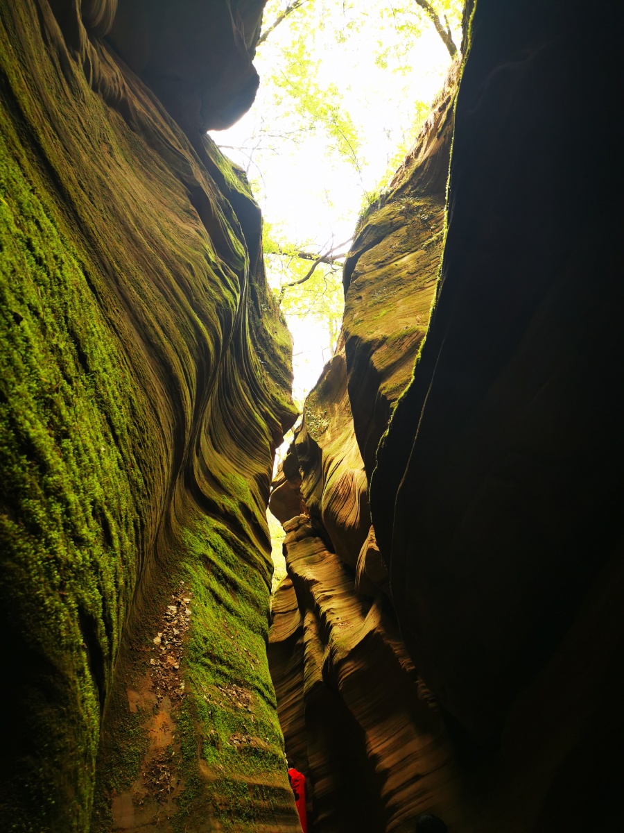 中国羚羊谷延安雨岔大峡谷