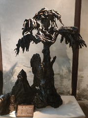 1000009749