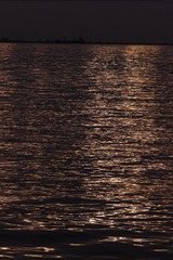 1000013190
