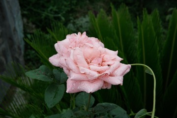001