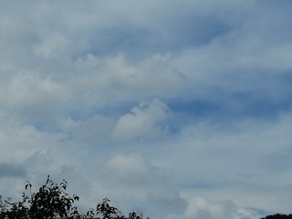 1448