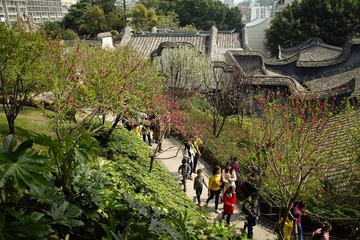 SDIM0633