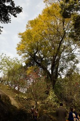SDIM0635