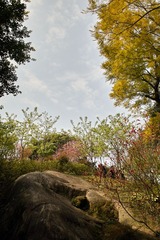 SDIM0636