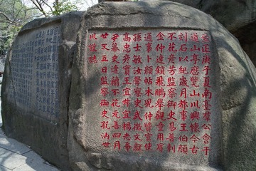 SDIM0647