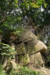 SDIM0648