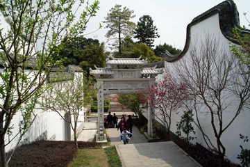 SDIM0661
