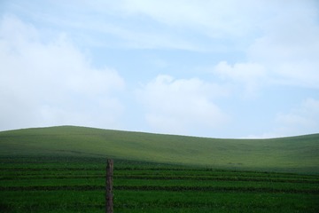 1000017748