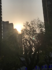 1000003929