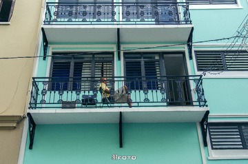 IMGP2408.jpg