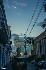 IMGP2427.jpg