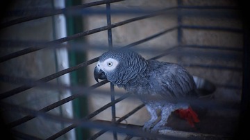 P1040249