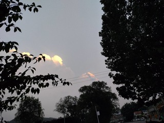 1000002293