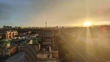 1000656455