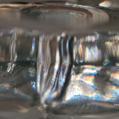 1000262561