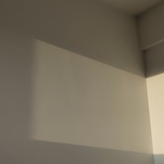 1000263121